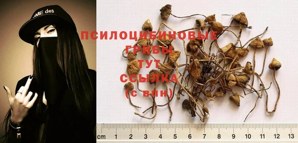 не бодяженный Алзамай