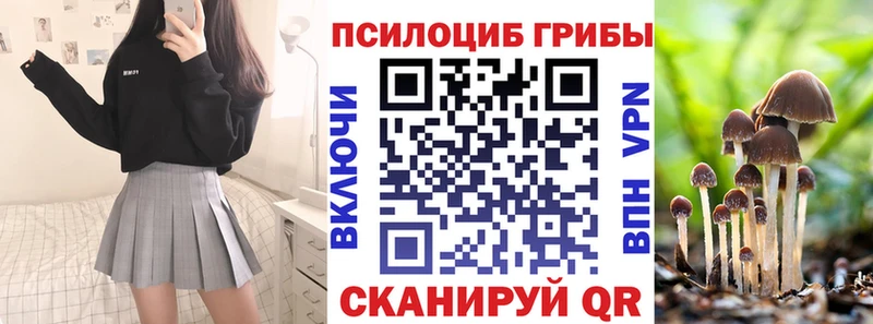 Галлюциногенные грибы Cubensis Починок